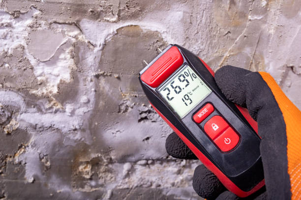 Best Mold Remediation Services  in Mountain Iron, MN