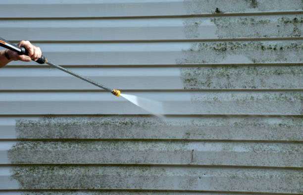 Best Mold Damage Repair  in Mountain Iron, MN