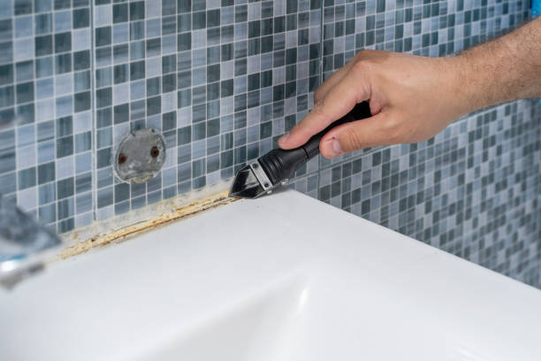 Best Certified Mold Removal  in Mountain Iron, MN