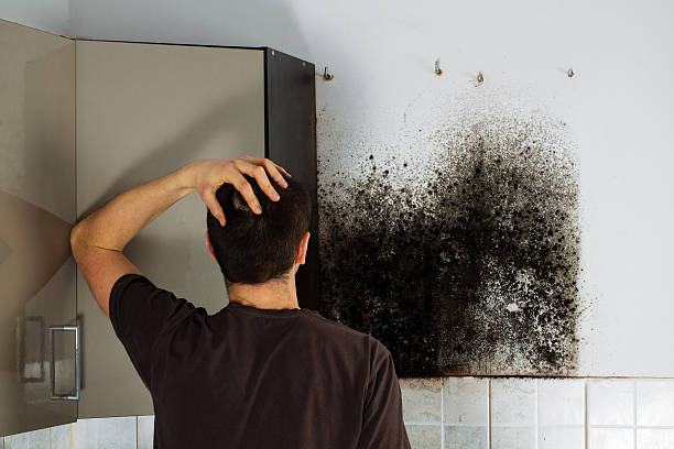 Best Crawl Space Mold Removal  in Mountain Iron, MN